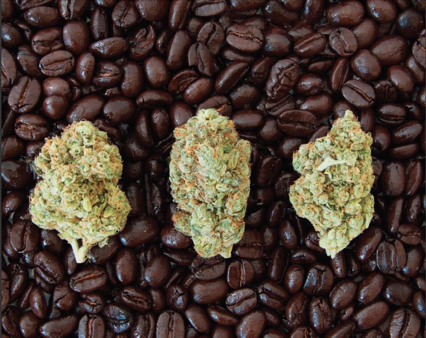 ROASTED - Coffee And Cannabis | MARY