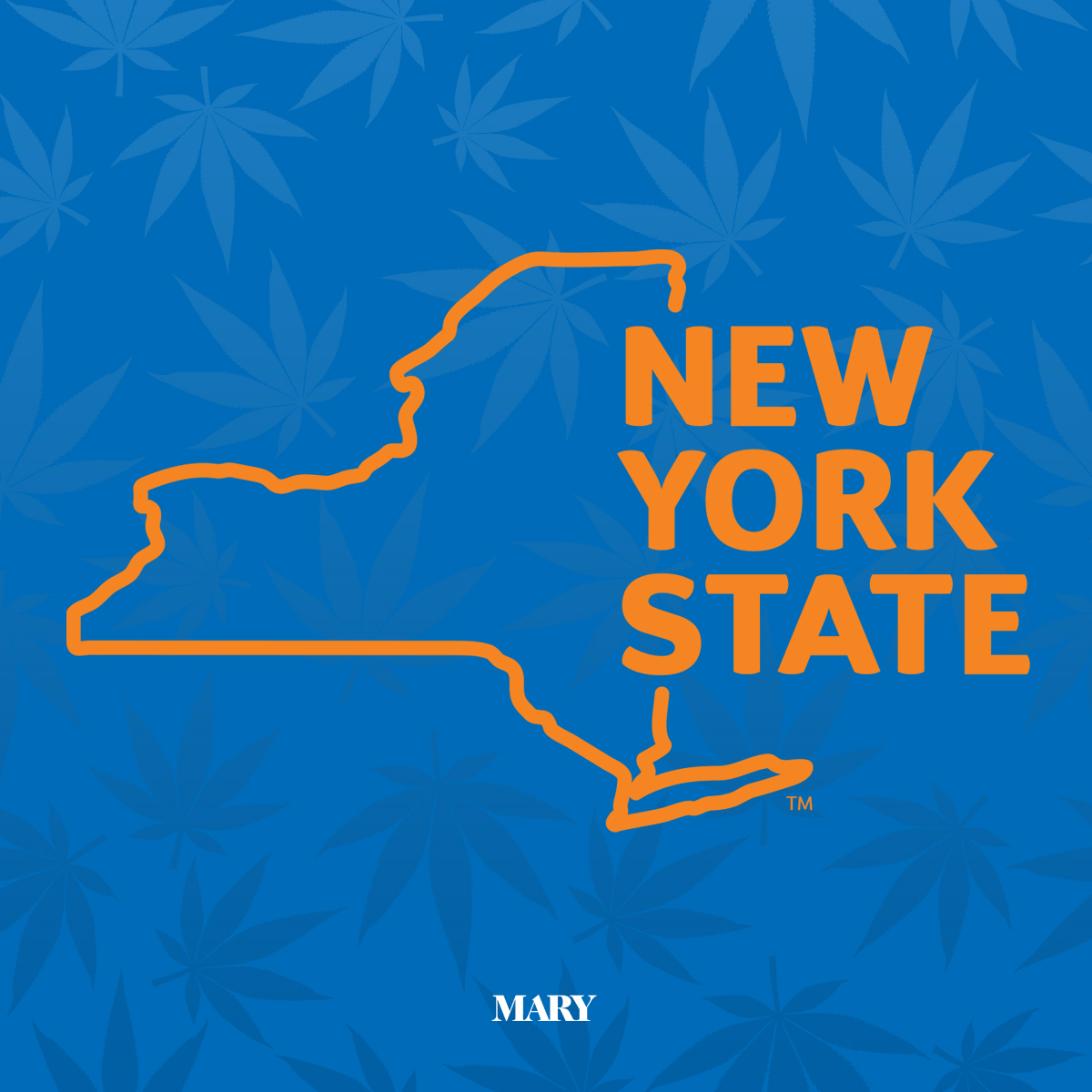 New York Legalization 2025 Update